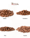 Caja Mixta Chocolate de Leche: Galleta, Hojuela, Pasa y Arándano