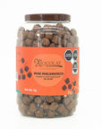 Malvavisco Mini con Chocolate de Leche